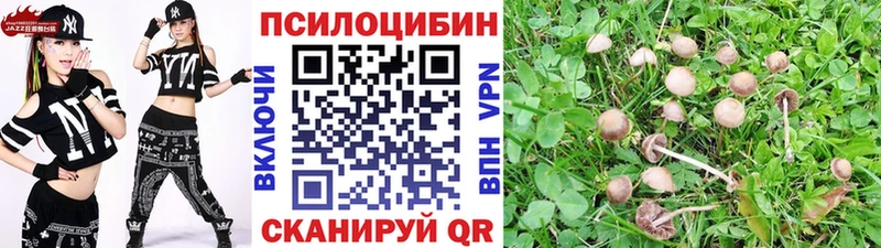 наркотики  Заинск  Галлюциногенные грибы мицелий 