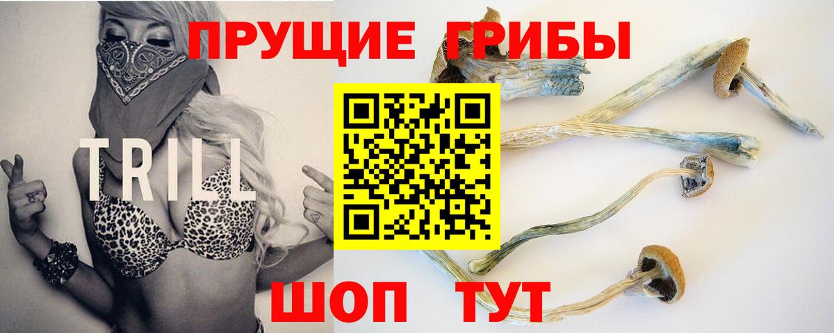 Заинск  Галлюциногенные грибы мухоморы  Вход с VPN 