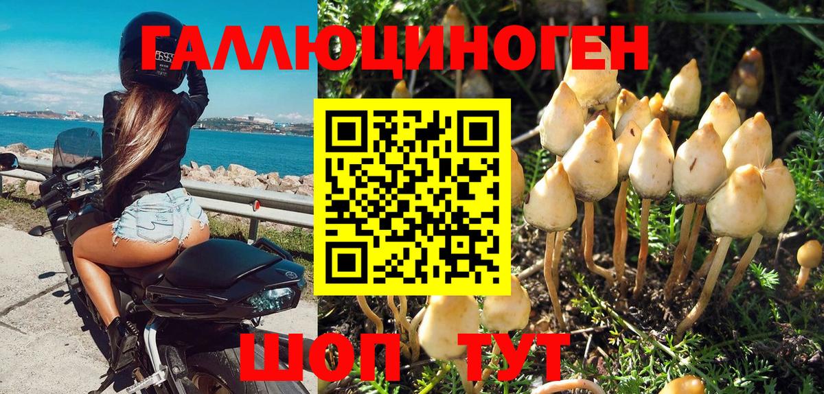 Галлюциногенные грибы Magic Shrooms Заинск